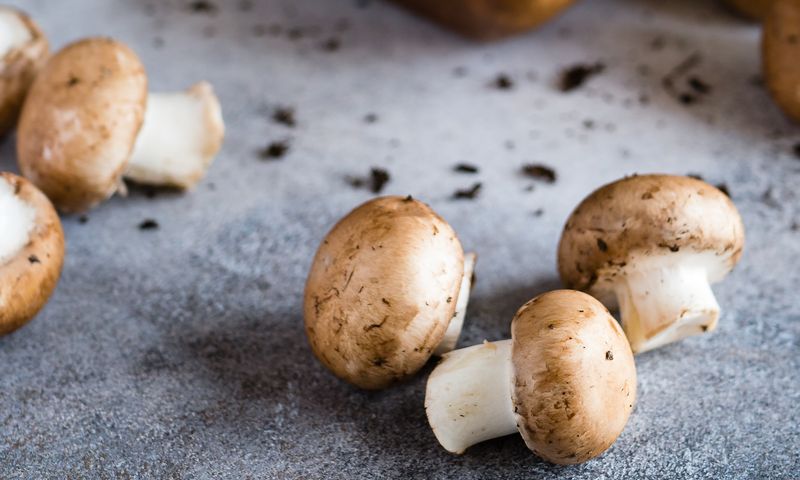 mushrooms in a vegetarian diet