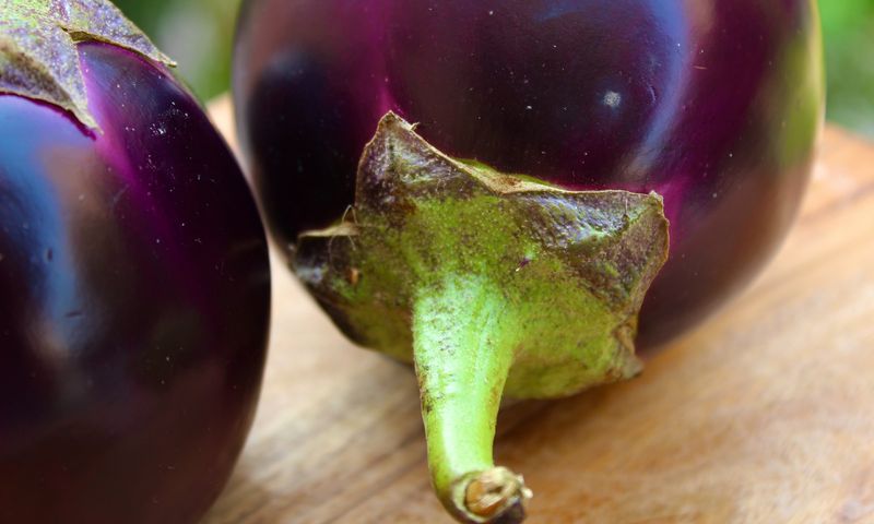 vegetarian food - eggplant